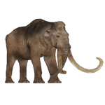 Columbian Mammoth (Bunyupy, Eryel, Maximilian & Zerosvalmont)