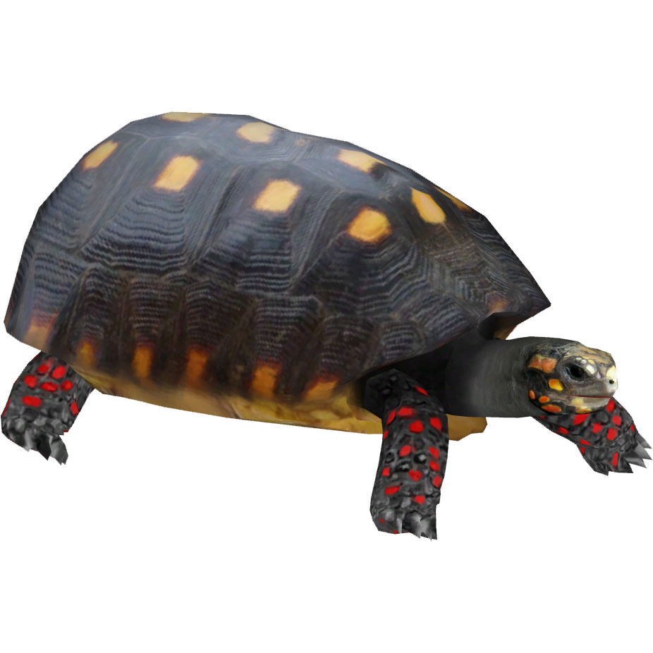 Red-footed Tortoise (Ulquiorra) | ZT2 Download Library Wiki