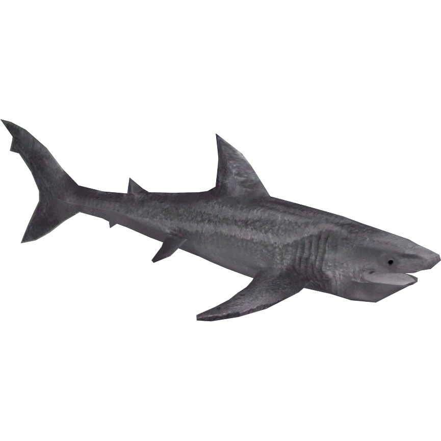 Basking Shark (Buffzoo, Lgcfm & SharkingAround) | ZT2 Download Library ...