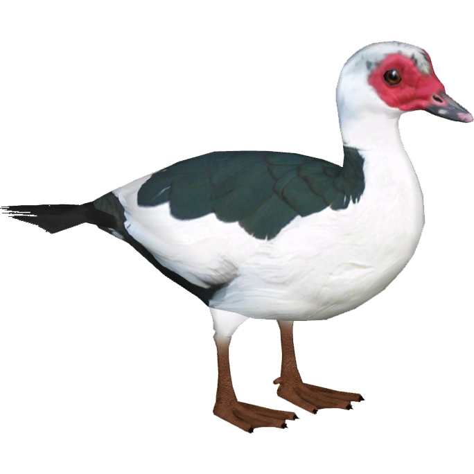 latest?cb=20160104162900