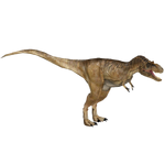 Albertosaurus (16529950)