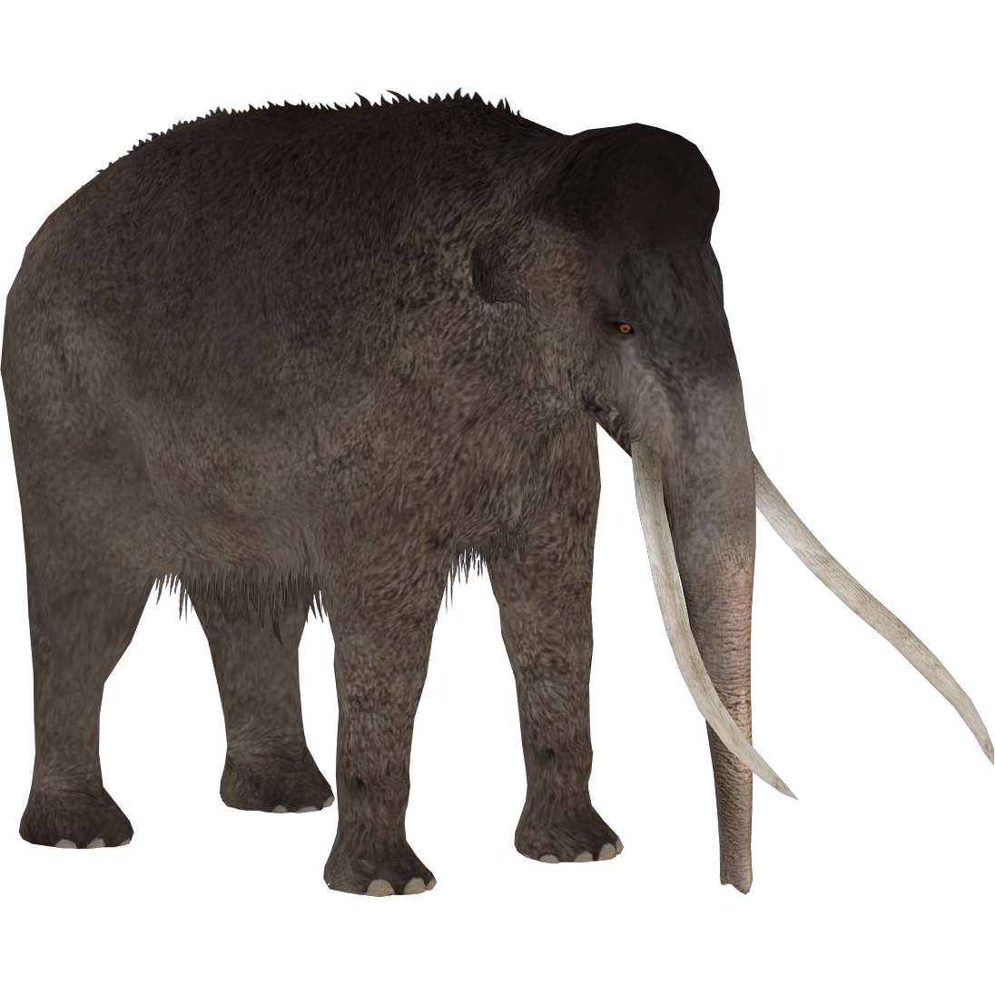 Asian Straight-tusked Elephant (Demon Hunter) | ZT2 Download