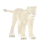 European Lion (Bobosmokey & Penguinman)