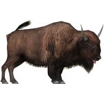 Giant Bison (Wrangler97)