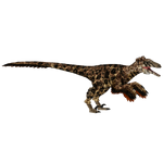 Deinonychus (Ultamateterex2)
