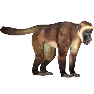 Geoffroy's Spider Monkey (Tamara Henson)/Version 1 | ZT2 Download