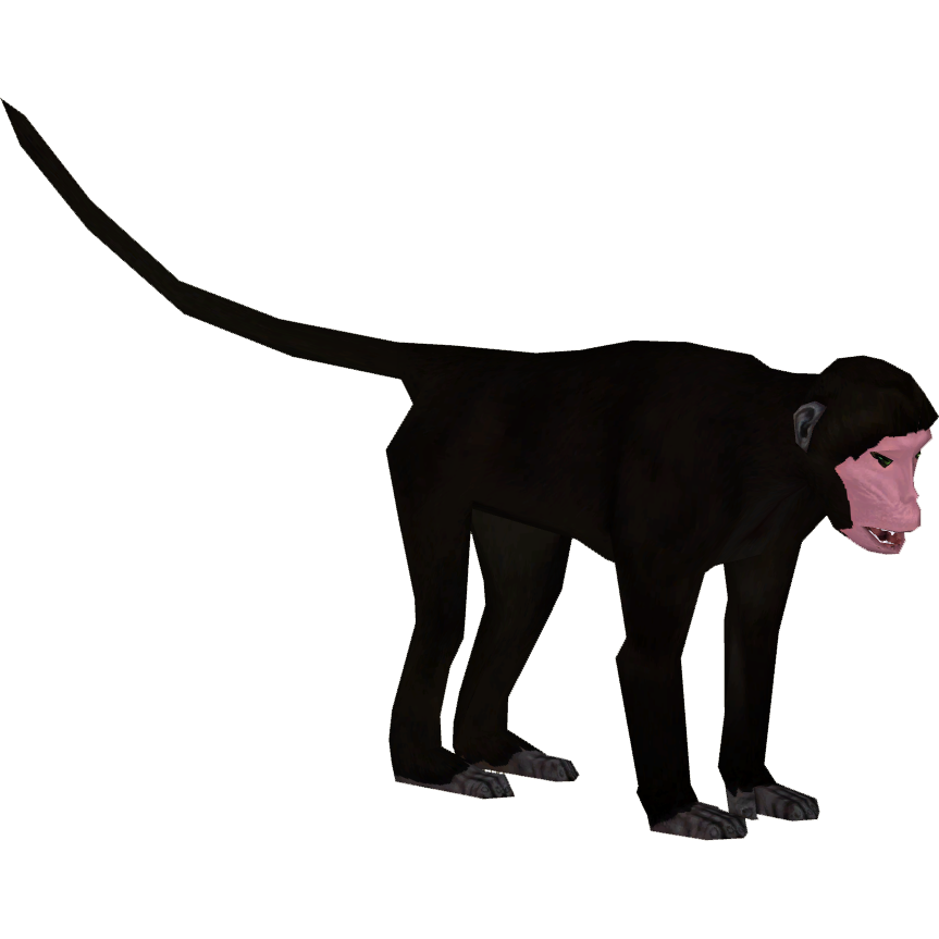 Spider - Spider Monkey (Base + Two Tabs)