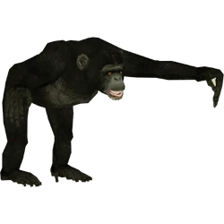 Category:Apes | ZT2 Download Library Wiki | Fandom