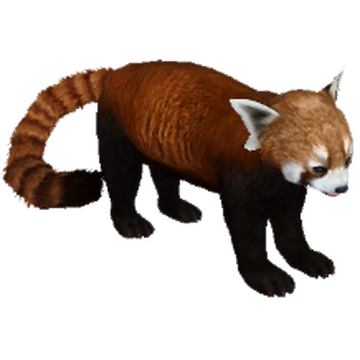 Aurora red panda discount