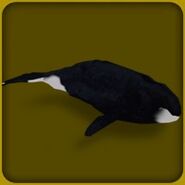 Bowhead Whale
