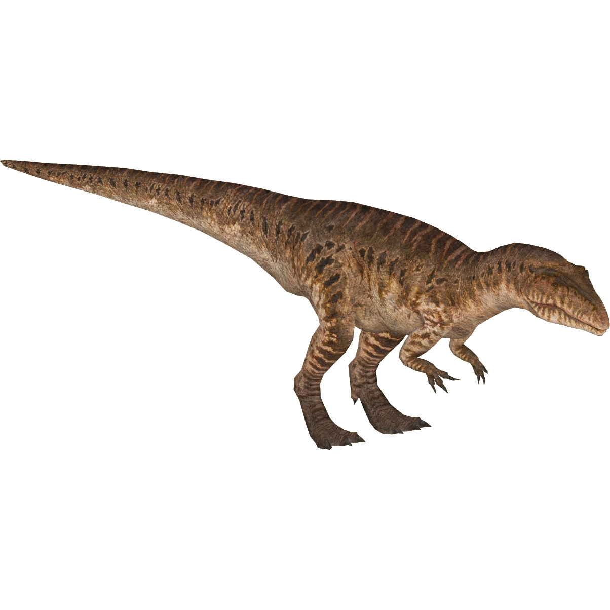 zoo tycoon 2 indominus rex