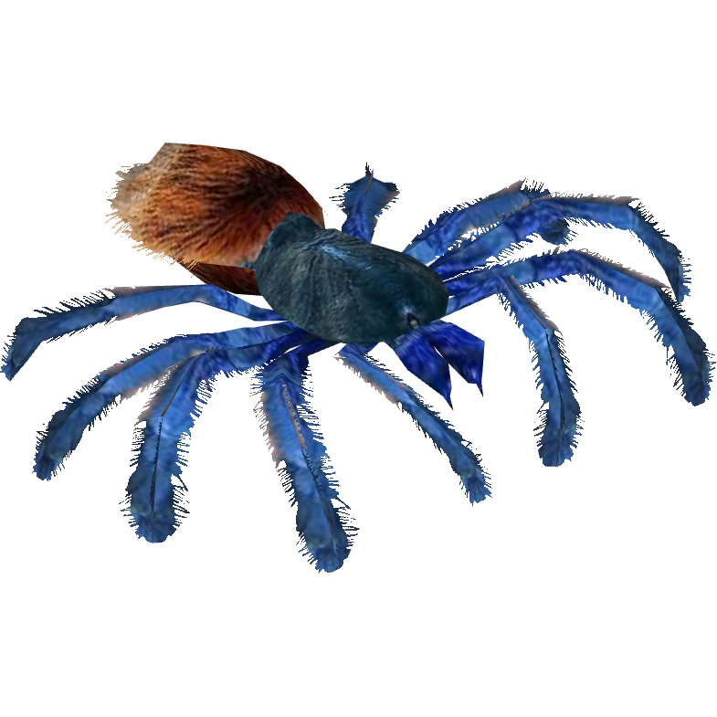 Greenbottle Blue Tarantula (Terrena Laxamentum) | ZT2 Download