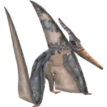 Pteranodon (HENDRIX)