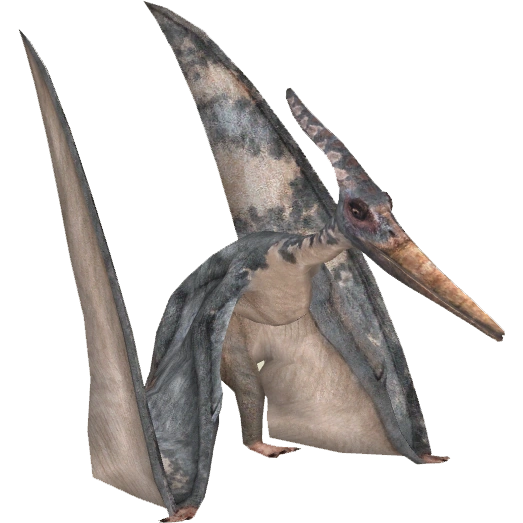 Pteranodon (HENDRIX) | ZT2 Download Library Wiki | Fandom