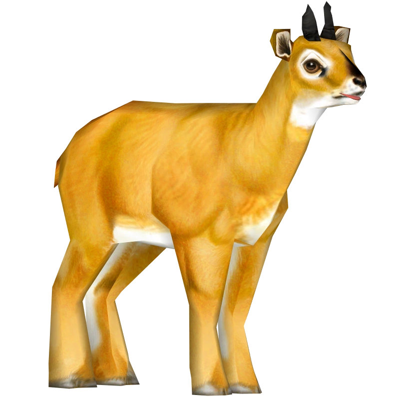 Steenbok_M_(Tamara_Henson).png