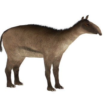 Xenorhinotherium (Demon Hunter) | ZT2 Download Library Wiki | Fandom