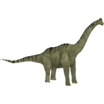Brachiosaurus (Tyranachu)