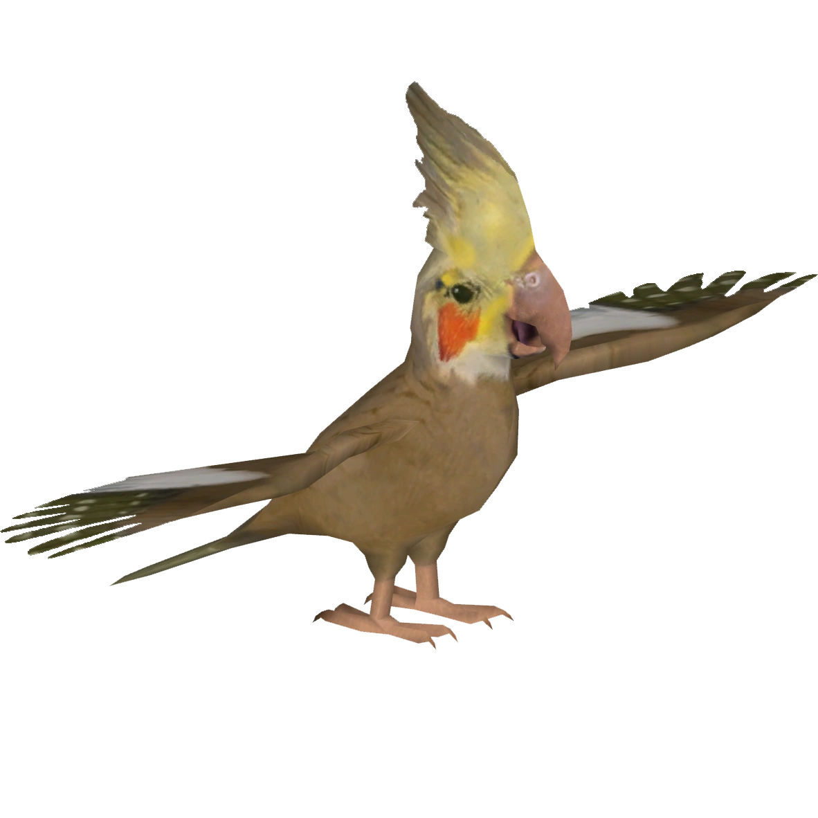 Cockatiel (Tamara Henson) | ZT2 Download Library Wiki | Fandom