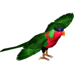 Collared Lory (MasterChief123)