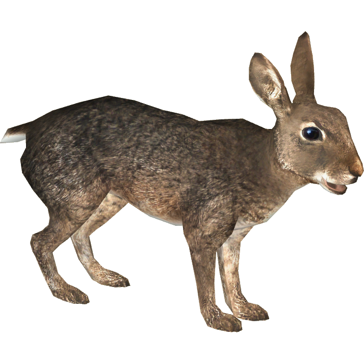 European Rabbit (Ulquiorra) | ZT2 Download Library Wiki | Fandom