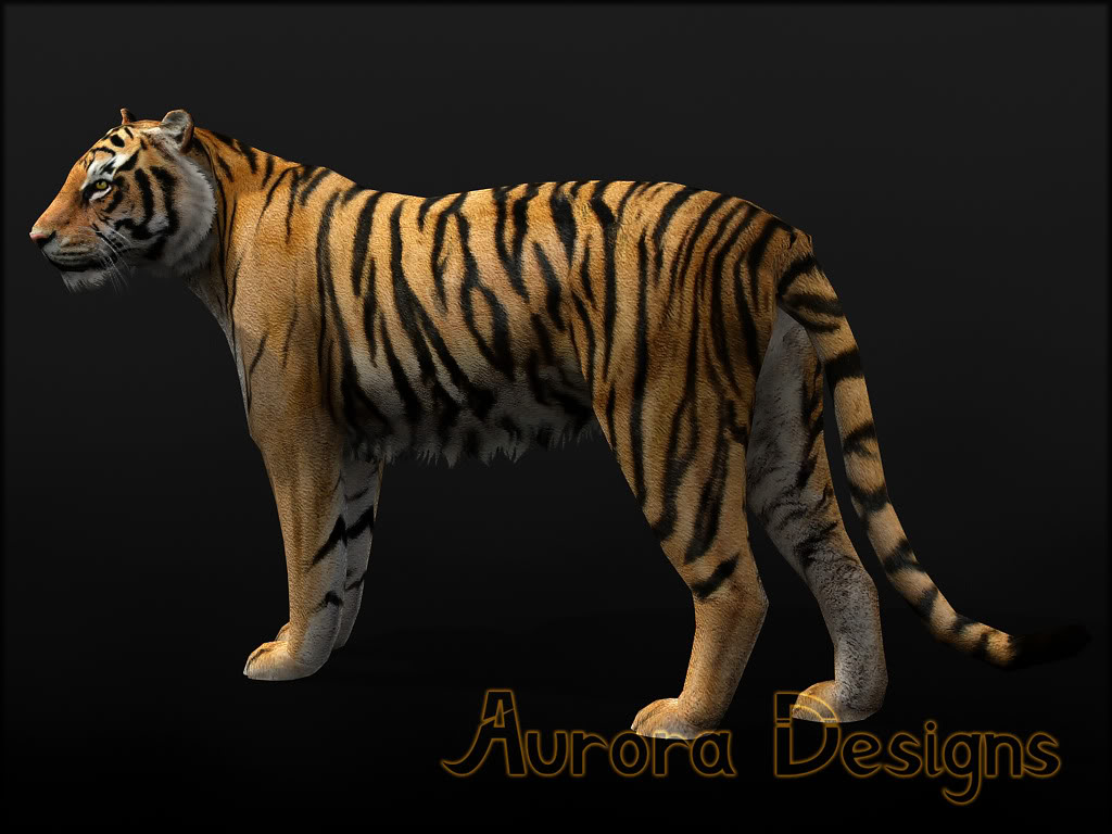 Bengali Tiger | 3D model