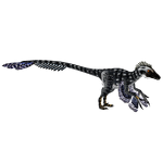 Utahraptor (16529950)