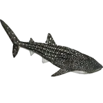 Whale Shark (Zerosvalmont) (501 KB) Whale Shark (Zerosvalmont)