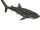 Whale Shark (Zerosvalmont)