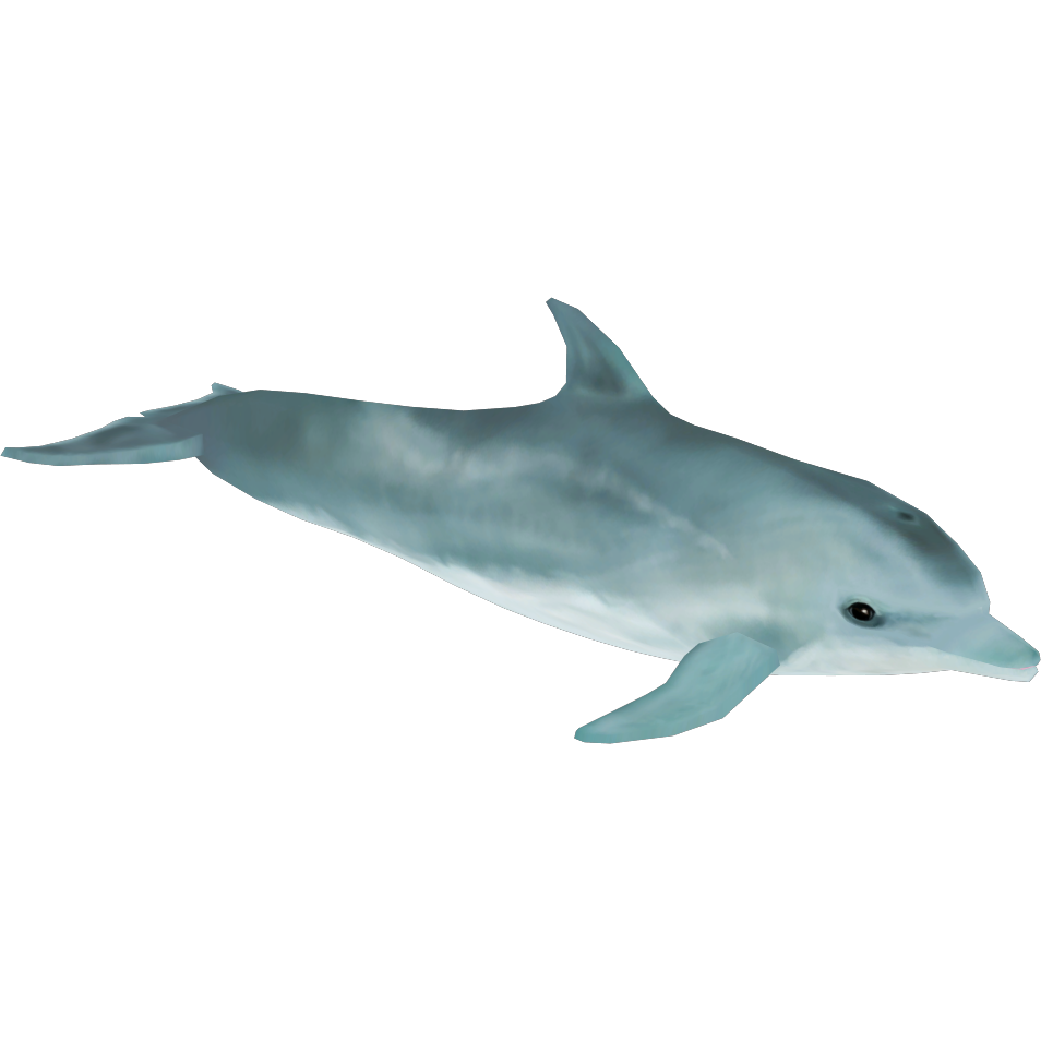 Bottlenose Dolphin (Buffzoo) | ZT2 Download Library Wiki | Fandom