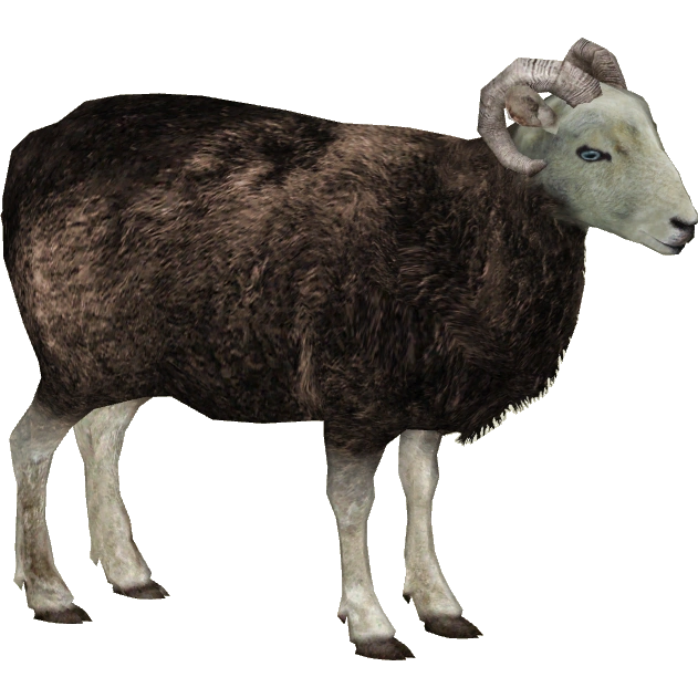 Herdwick Sheep (Milchman, Platypus, RazvanM, Slice & Zoker) | ZT2