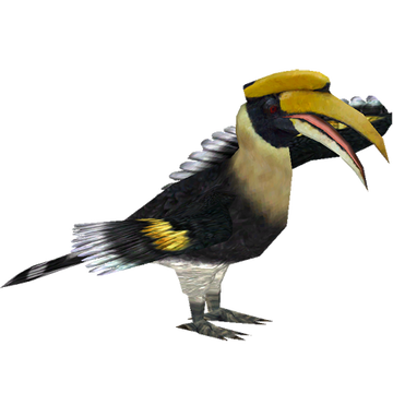 洋書 Hornbill and Dragon Hornbill and Dragon: Arts and Culture of Borneo: Sellato