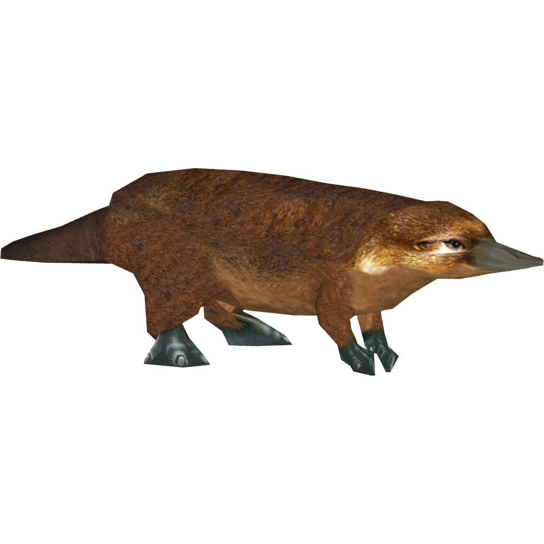 zoo tycoon 2 platypus