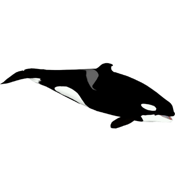 Resident Orca (ObsidianAngst) | ZT2 Download Library Wiki | Fandom