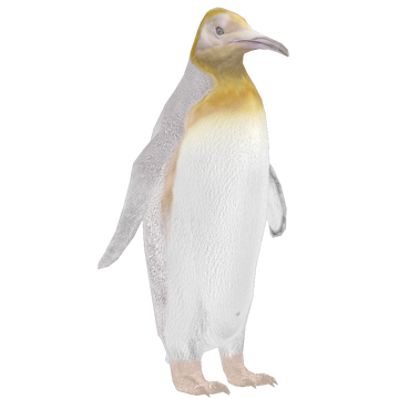 King Penguin (Demon Hunter) | ZT2 Download Library Wiki | Fandom