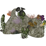 Animated Coral Reef 1 (Zerosvalmont)
