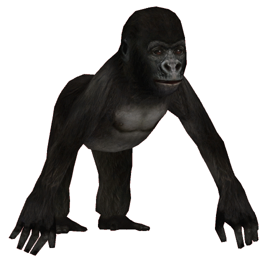Western Lowland Gorilla (JimmyzHoopz) | ZT2 Download Library