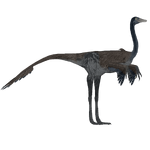 Hell Creek Ornithomimid (Andrew12 & Luca9108)