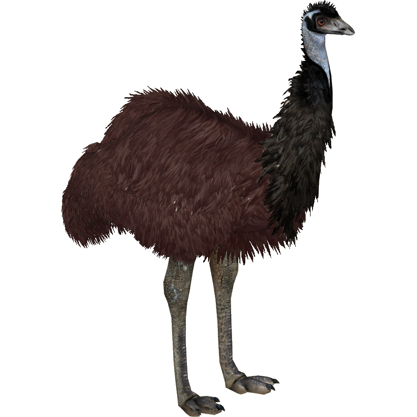 King Island Emu (HarryD28 & WorkowatyWilczek) | ZT2 Download