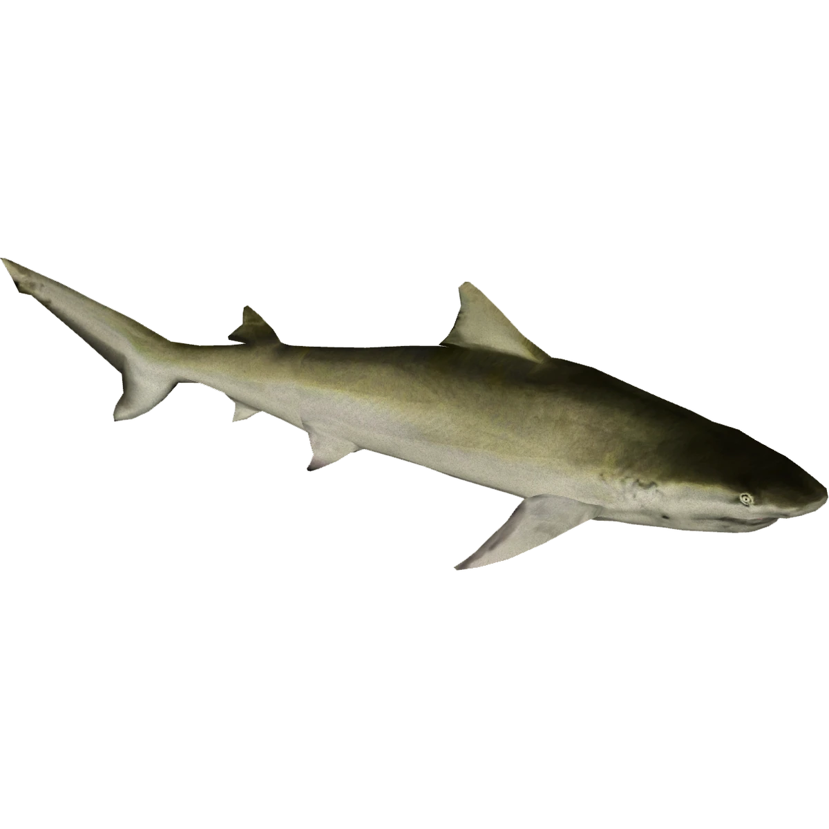 Lemon Shark (Zerosvalmont) ZT2 Download Library Wiki Fandom
