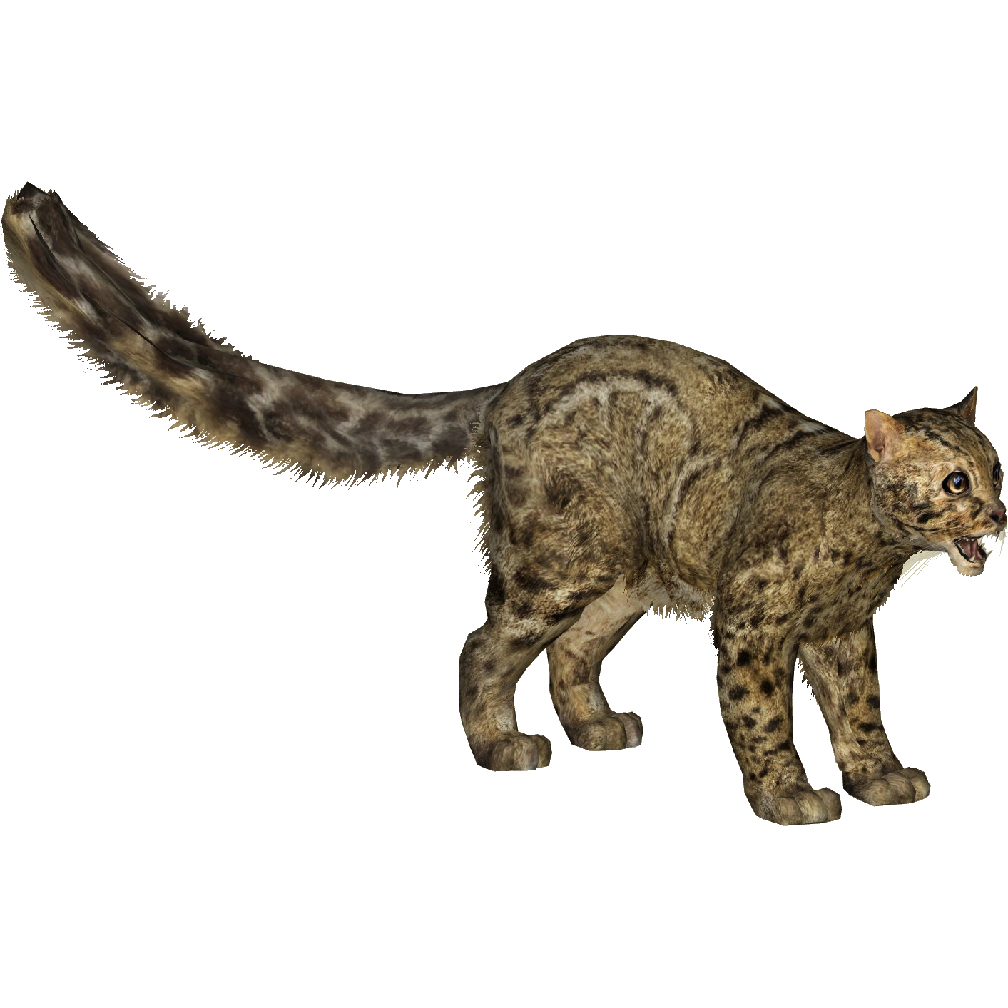 Marbled Cat Zoo Tycoon 2 Thailand Zt2 Download Library Wiki Fandom