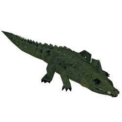 Category:Crocodiles | ZT2 Download Library Wiki | Fandom