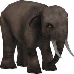 Category:Elephants | ZT2 Download Library Wiki | Fandom