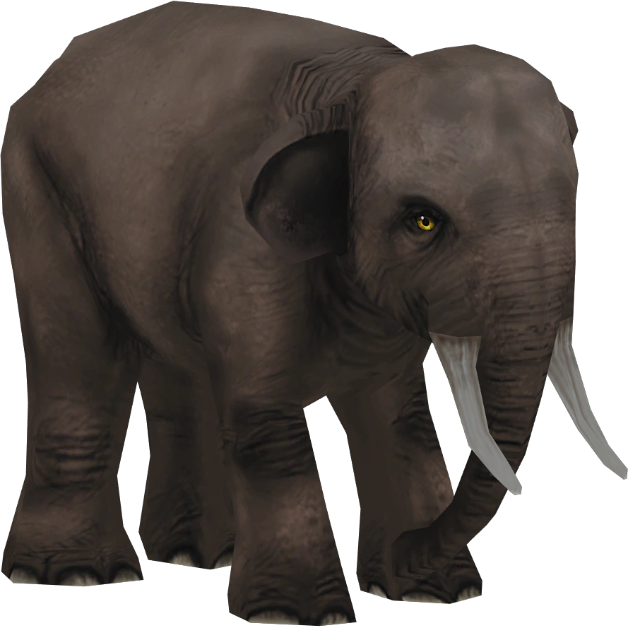 Asian Elephant (Blue Fang) | ZT2 Download Library Wiki | Fandom