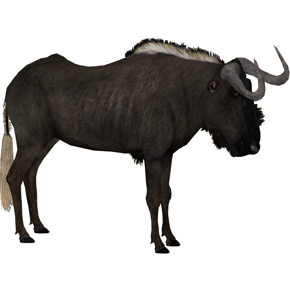 gnu SSL XLogic G Series Bus Compressor # 629946X1 (Used