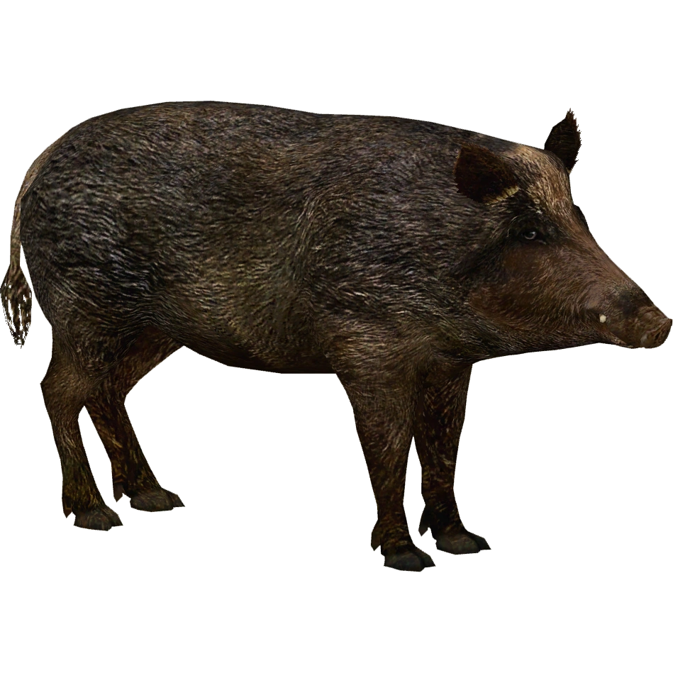 CategoryHybrid Animals ZT2 Download Library Wiki Fandom