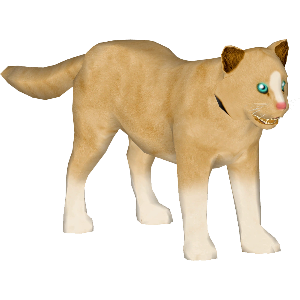Domestic Cat (slice) | ZT2 Download Library Wiki | Fandom