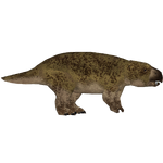 Diictodon (Bunyupy)