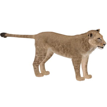 360?cb=20220309010208