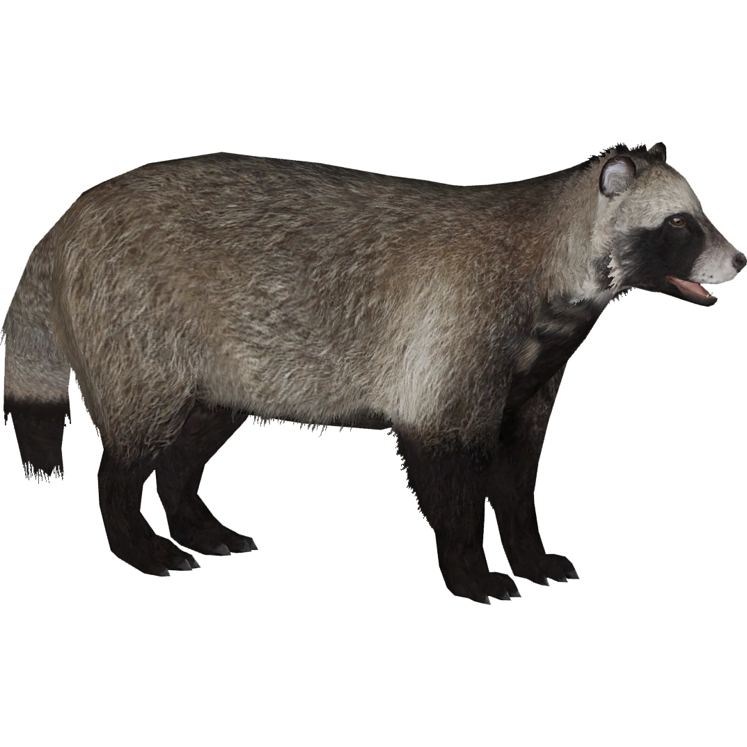 Raccoon Dog (Lgcfm & Ulquiorra) | ZT2 Download Library Wiki | Fandom