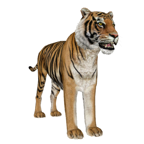 Bengal tiger on a transparent background. by ZOOSTOCK on DeviantArt